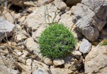 Antička topografija Primorja III.