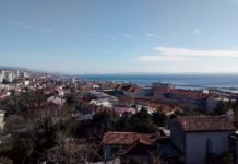 CRTICA O ZRENIKU