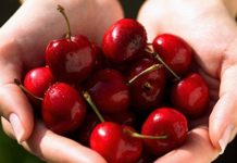 Riječke žene i riječke trešnje