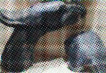 Igor Žic: D’Annunzio, Vittoriale i Vladimir Nazor