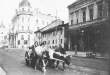 Igor Žic: Deset pisama iz Beograda Vatroslava Cihlara VI.